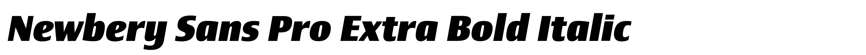 Newbery Sans Pro Extra Bold Italic